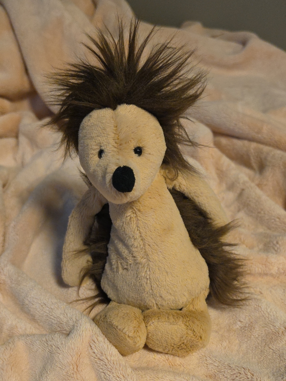 Jellycat Hedgehog